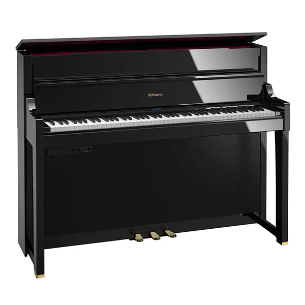 Music City – Tổng Kho Piano, Guitar, Organ | Dịch Vụ Giáo Dục Âm Nhạc