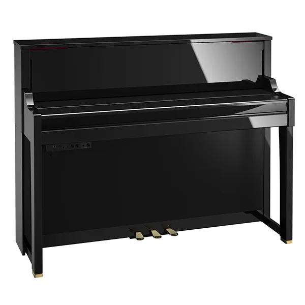 dan-piano-roland-lx17-musiccity