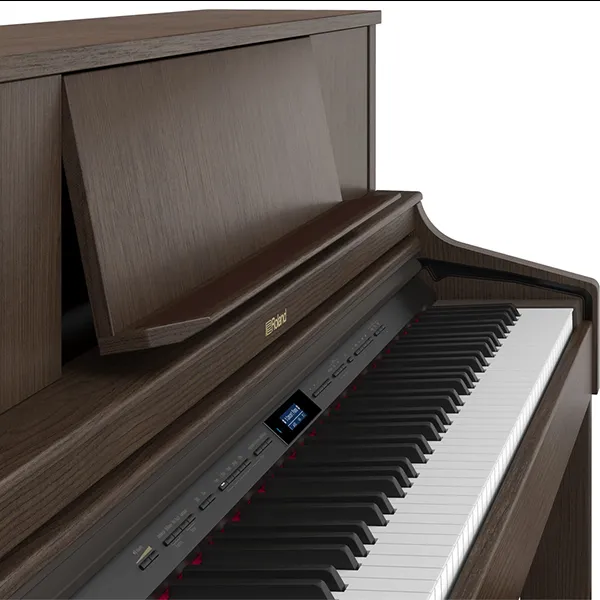 Music City – Tổng Kho Piano, Guitar, Organ | Dịch Vụ Giáo Dục Âm Nhạc