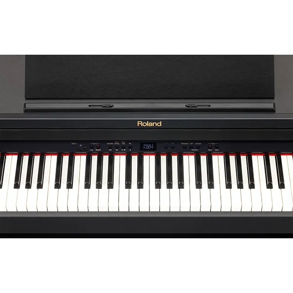 Music City – Tổng Kho Piano, Guitar, Organ | Dịch Vụ Giáo Dục Âm Nhạc