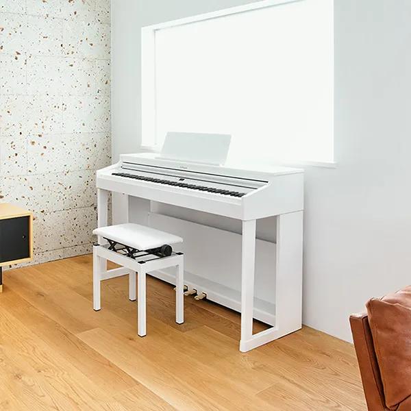 dan-piano-roland-rp701-musiccity