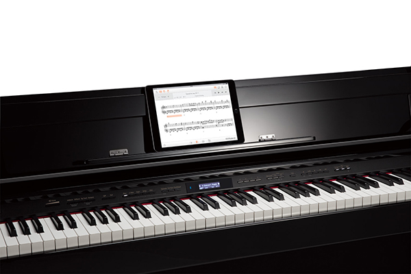 Music City – Tổng Kho Piano, Guitar, Organ | Dịch Vụ Giáo Dục Âm Nhạc