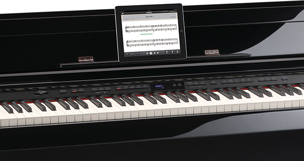 Music City – Tổng Kho Piano, Guitar, Organ | Dịch Vụ Giáo Dục Âm Nhạc
