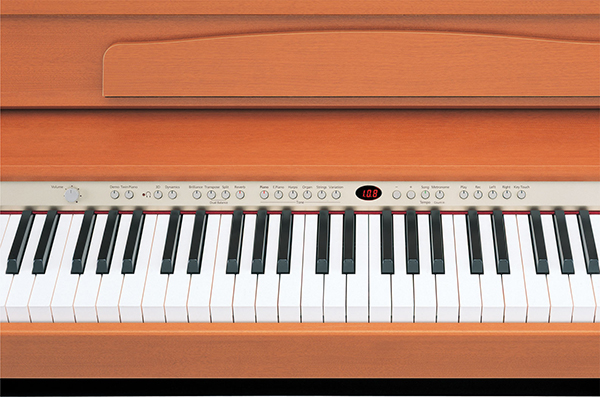 Music City – Tổng Kho Piano, Guitar, Organ | Dịch Vụ Giáo Dục Âm Nhạc