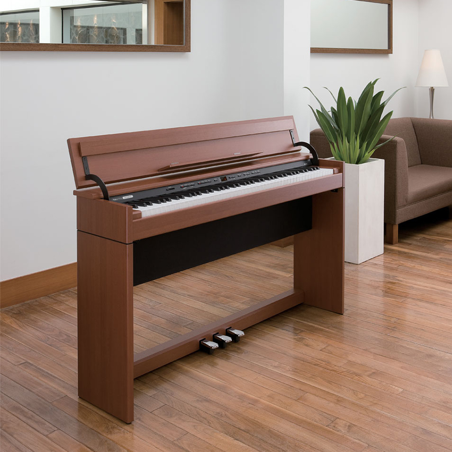 Music City – Tổng Kho Piano, Guitar, Organ | Dịch Vụ Giáo Dục Âm Nhạc
