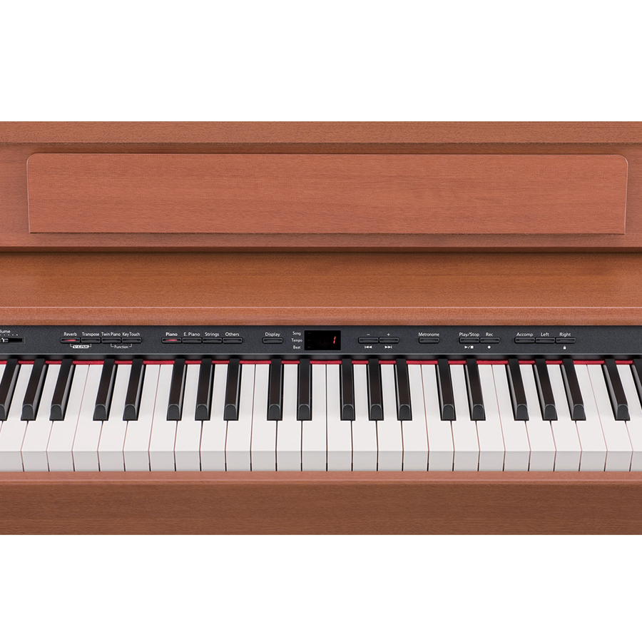 Music City – Tổng Kho Piano, Guitar, Organ | Dịch Vụ Giáo Dục Âm Nhạc