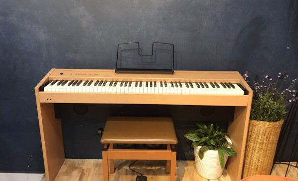 Music City – Tổng Kho Piano, Guitar, Organ | Dịch Vụ Giáo Dục Âm Nhạc