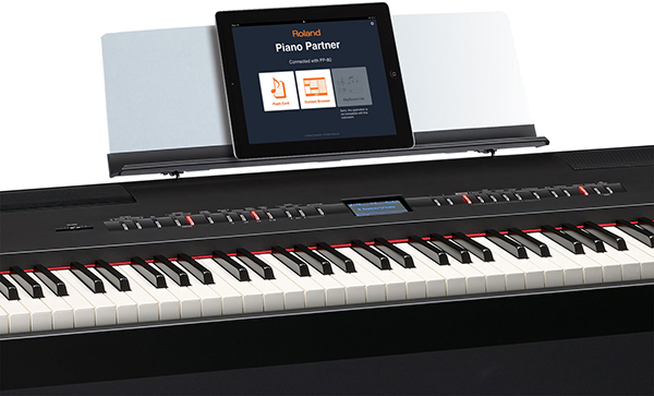 Music City – Tổng Kho Piano, Guitar, Organ | Dịch Vụ Giáo Dục Âm Nhạc