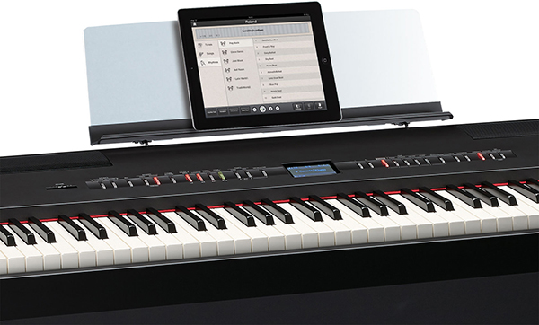 Music City – Tổng Kho Piano, Guitar, Organ | Dịch Vụ Giáo Dục Âm Nhạc