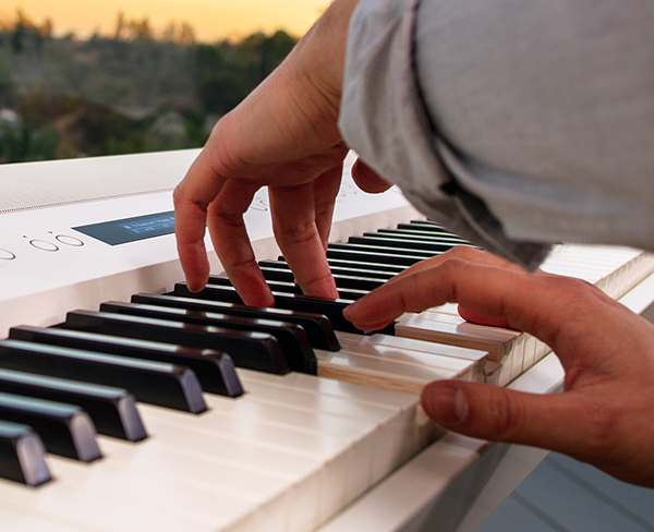 Music City – Tổng Kho Piano, Guitar, Organ | Dịch Vụ Giáo Dục Âm Nhạc