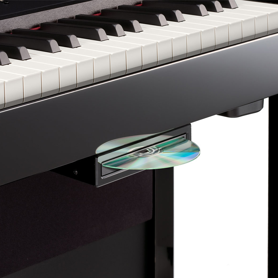 Music City – Tổng Kho Piano, Guitar, Organ | Dịch Vụ Giáo Dục Âm Nhạc