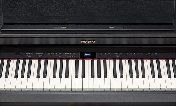 Music City – Tổng Kho Piano, Guitar, Organ | Dịch Vụ Giáo Dục Âm Nhạc