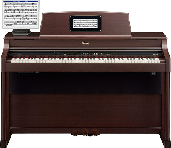 Music City – Tổng Kho Piano, Guitar, Organ | Dịch Vụ Giáo Dục Âm Nhạc