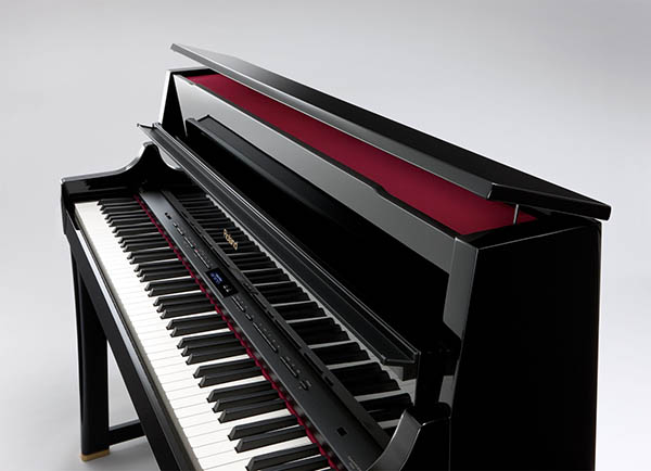 Music City – Tổng Kho Piano, Guitar, Organ | Dịch Vụ Giáo Dục Âm Nhạc