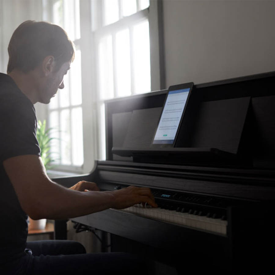 Music City – Tổng Kho Piano, Guitar, Organ | Dịch Vụ Giáo Dục Âm Nhạc