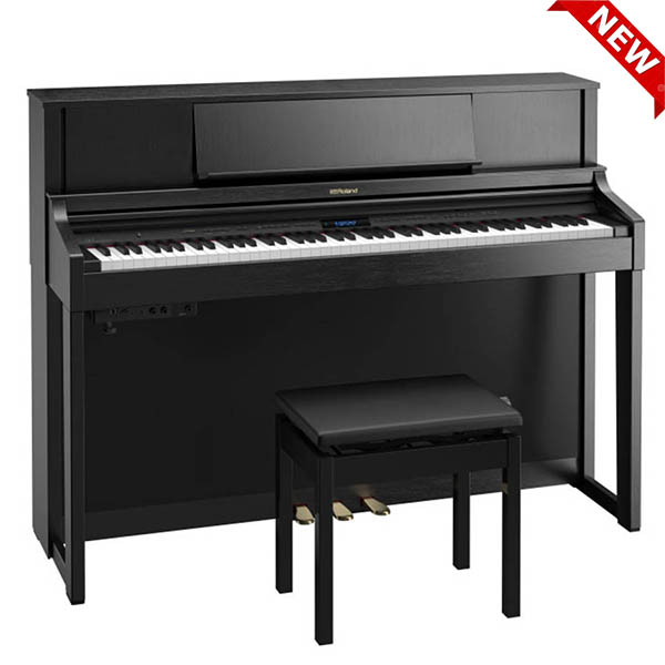Music City – Tổng Kho Piano, Guitar, Organ | Dịch Vụ Giáo Dục Âm Nhạc
