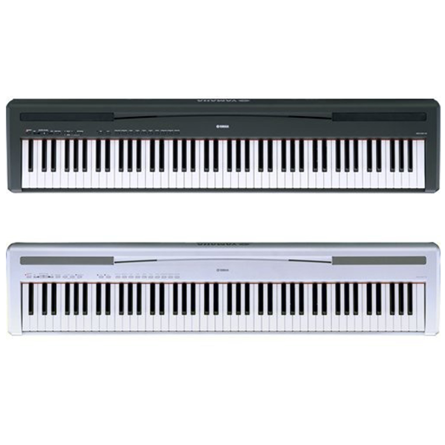 Music City – Tổng Kho Piano, Guitar, Organ | Dịch Vụ Giáo Dục Âm Nhạc