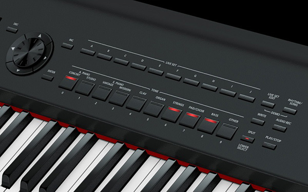 Music City – Tổng Kho Piano, Guitar, Organ | Dịch Vụ Giáo Dục Âm Nhạc