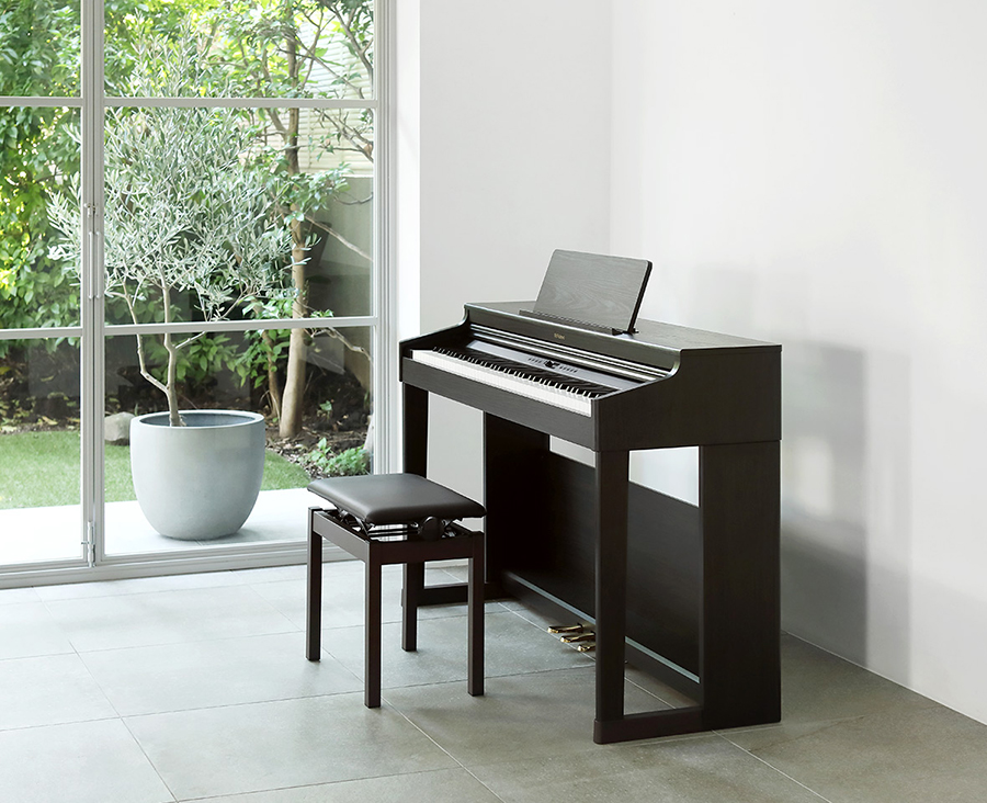 Music City – Tổng Kho Piano, Guitar, Organ | Dịch Vụ Giáo Dục Âm Nhạc