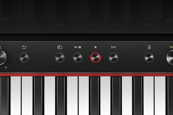 Music City – Tổng Kho Piano, Guitar, Organ | Dịch Vụ Giáo Dục Âm Nhạc