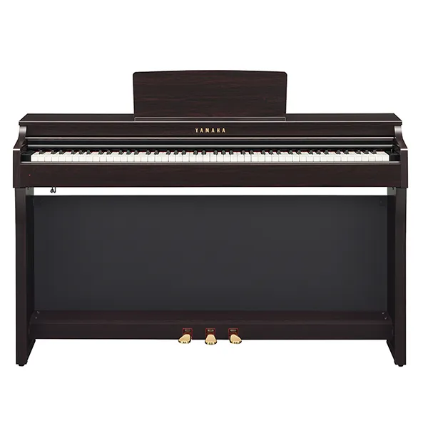 Music City – Tổng Kho Piano, Guitar, Organ | Dịch Vụ Giáo Dục Âm Nhạc