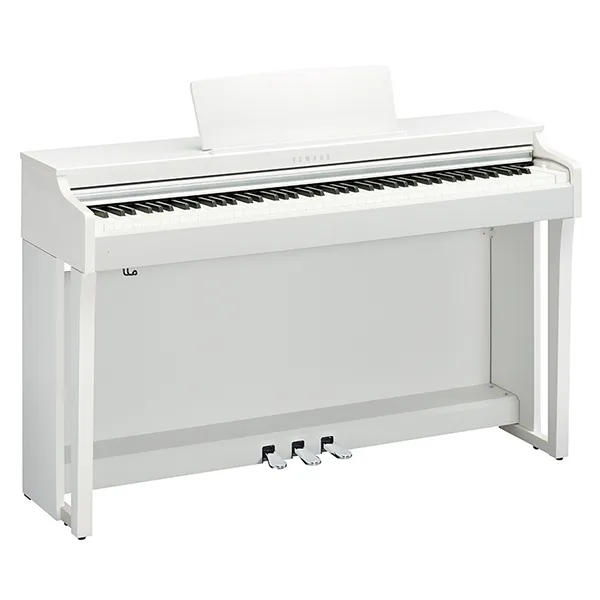 Music City – Tổng Kho Piano, Guitar, Organ | Dịch Vụ Giáo Dục Âm Nhạc