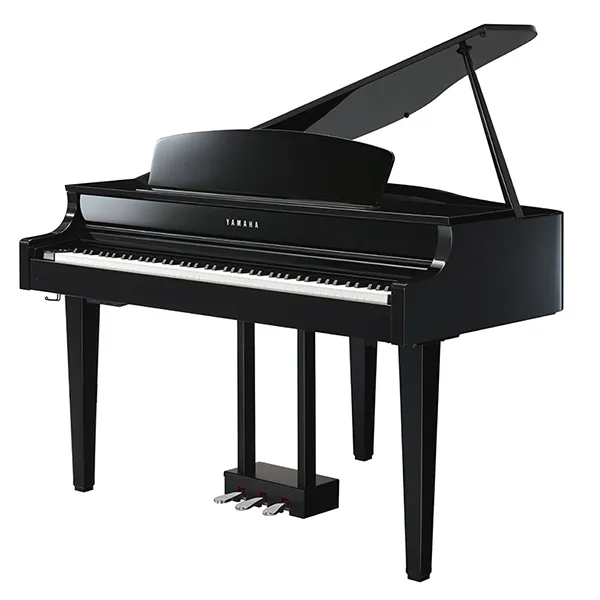 Music City – Tổng Kho Piano, Guitar, Organ | Dịch Vụ Giáo Dục Âm Nhạc