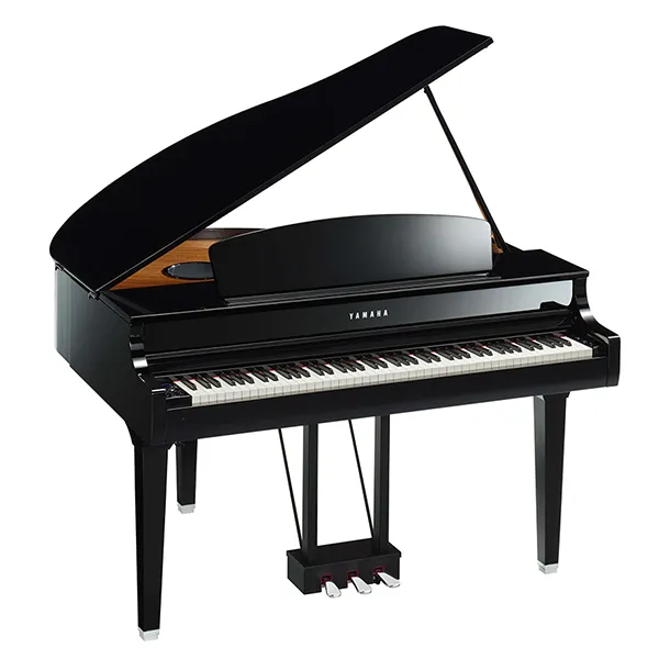 Music City – Tổng Kho Piano, Guitar, Organ | Dịch Vụ Giáo Dục Âm Nhạc