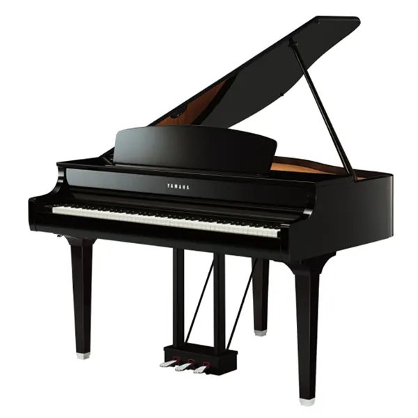 Music City – Tổng Kho Piano, Guitar, Organ | Dịch Vụ Giáo Dục Âm Nhạc