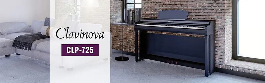 Music City – Tổng Kho Piano, Guitar, Organ | Dịch Vụ Giáo Dục Âm Nhạc