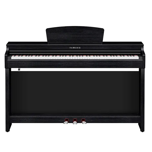 Music City – Tổng Kho Piano, Guitar, Organ | Dịch Vụ Giáo Dục Âm Nhạc