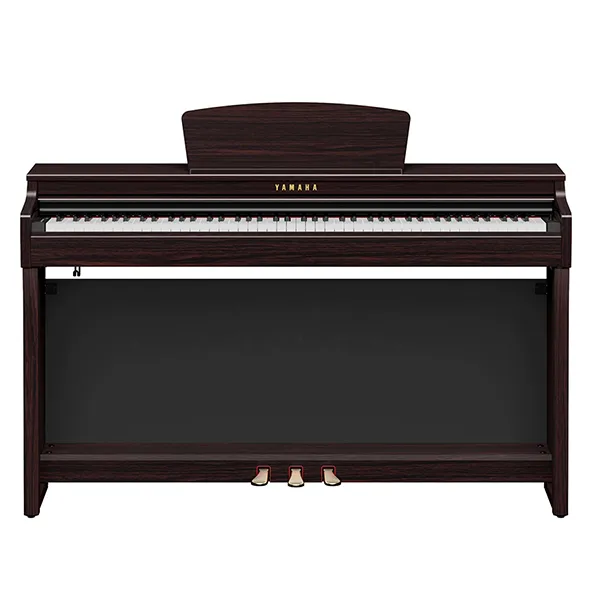 Music City – Tổng Kho Piano, Guitar, Organ | Dịch Vụ Giáo Dục Âm Nhạc