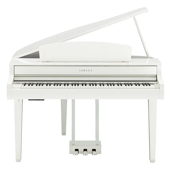 Music City – Tổng Kho Piano, Guitar, Organ | Dịch Vụ Giáo Dục Âm Nhạc