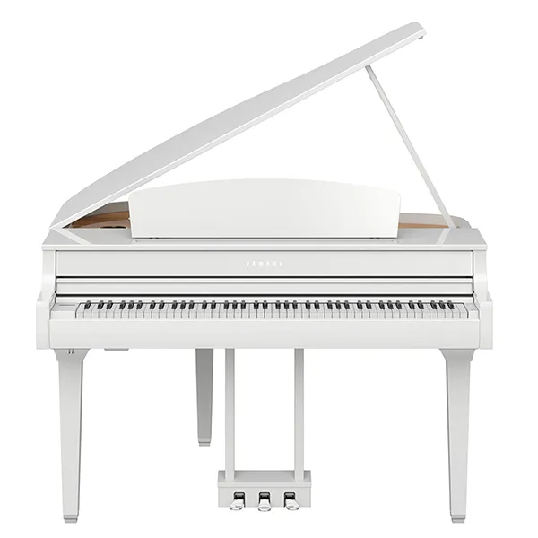 Music City – Tổng Kho Piano, Guitar, Organ | Dịch Vụ Giáo Dục Âm Nhạc
