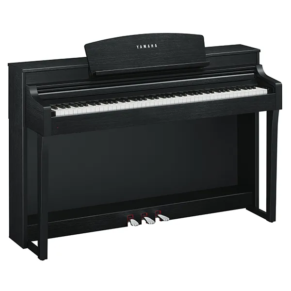 Music City – Tổng Kho Piano, Guitar, Organ | Dịch Vụ Giáo Dục Âm Nhạc