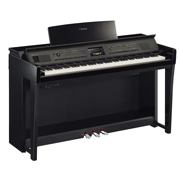 Music City – Tổng Kho Piano, Guitar, Organ | Dịch Vụ Giáo Dục Âm Nhạc