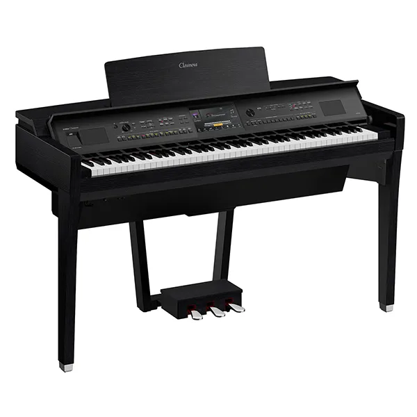 Music City – Tổng Kho Piano, Guitar, Organ | Dịch Vụ Giáo Dục Âm Nhạc