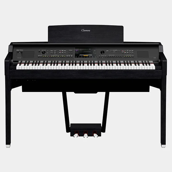 Music City – Tổng Kho Piano, Guitar, Organ | Dịch Vụ Giáo Dục Âm Nhạc