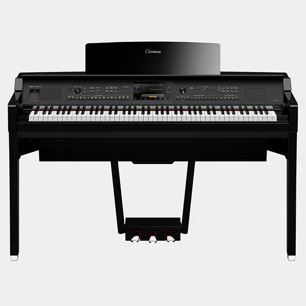 Music City – Tổng Kho Piano, Guitar, Organ | Dịch Vụ Giáo Dục Âm Nhạc