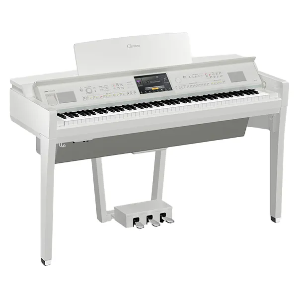 Music City – Tổng Kho Piano, Guitar, Organ | Dịch Vụ Giáo Dục Âm Nhạc
