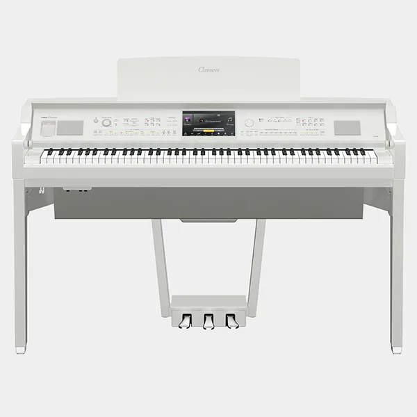Music City – Tổng Kho Piano, Guitar, Organ | Dịch Vụ Giáo Dục Âm Nhạc