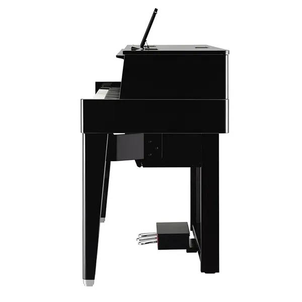 Music City – Tổng Kho Piano, Guitar, Organ | Dịch Vụ Giáo Dục Âm Nhạc