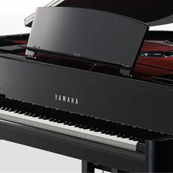 dan-piano-yamaha-avantgrand-n3-musiccity