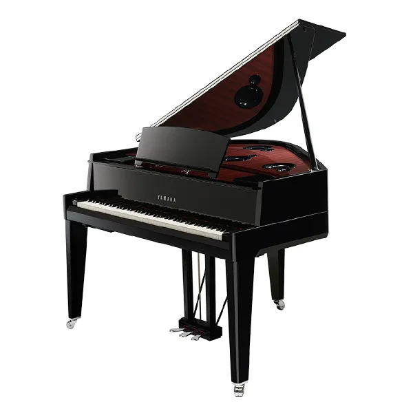 Music City – Tổng Kho Piano, Guitar, Organ | Dịch Vụ Giáo Dục Âm Nhạc