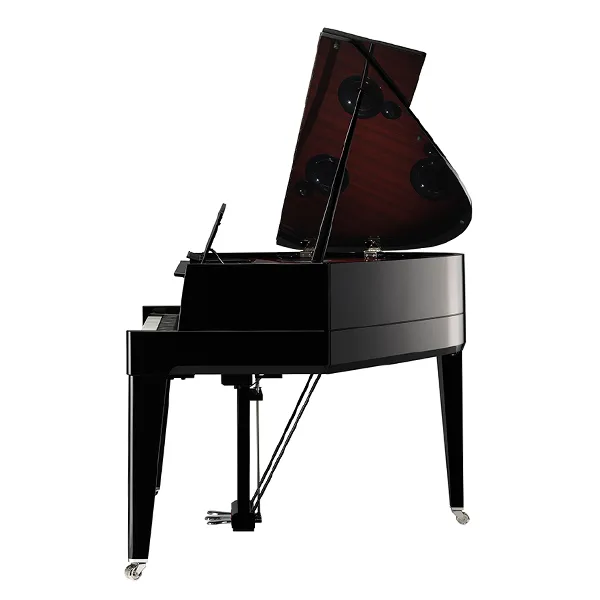 Music City – Tổng Kho Piano, Guitar, Organ | Dịch Vụ Giáo Dục Âm Nhạc