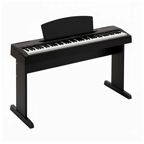 dan-piano-yamaha-p60-musiccity