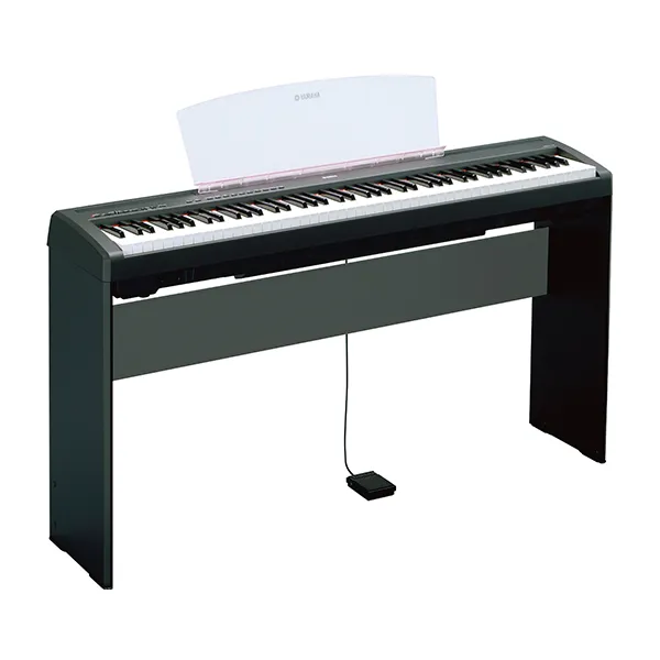 Music City – Tổng Kho Piano, Guitar, Organ | Dịch Vụ Giáo Dục Âm Nhạc