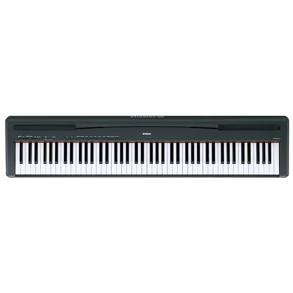 Music City – Tổng Kho Piano, Guitar, Organ | Dịch Vụ Giáo Dục Âm Nhạc