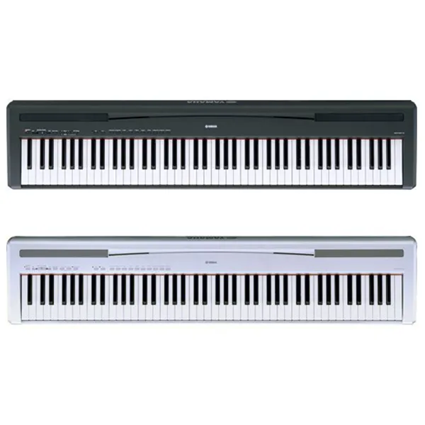 Music City – Tổng Kho Piano, Guitar, Organ | Dịch Vụ Giáo Dục Âm Nhạc
