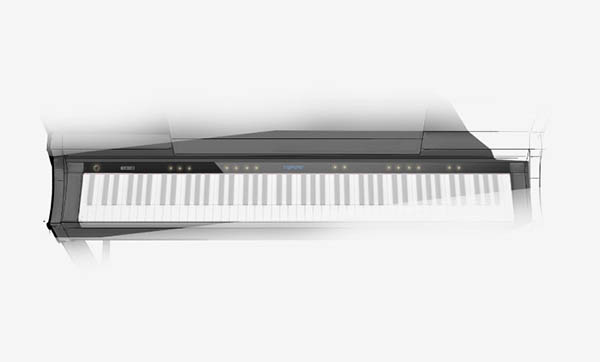 Music City – Tổng Kho Piano, Guitar, Organ | Dịch Vụ Giáo Dục Âm Nhạc